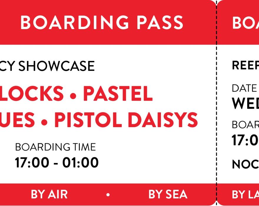 MOTION Agency Showcase