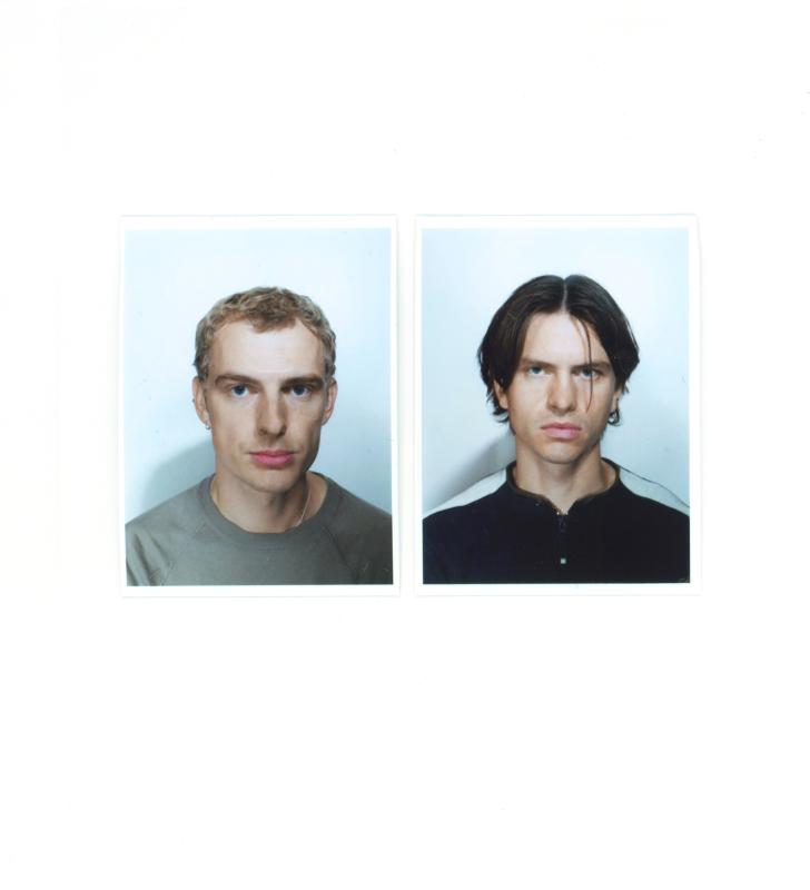 Portrait Horse Vision