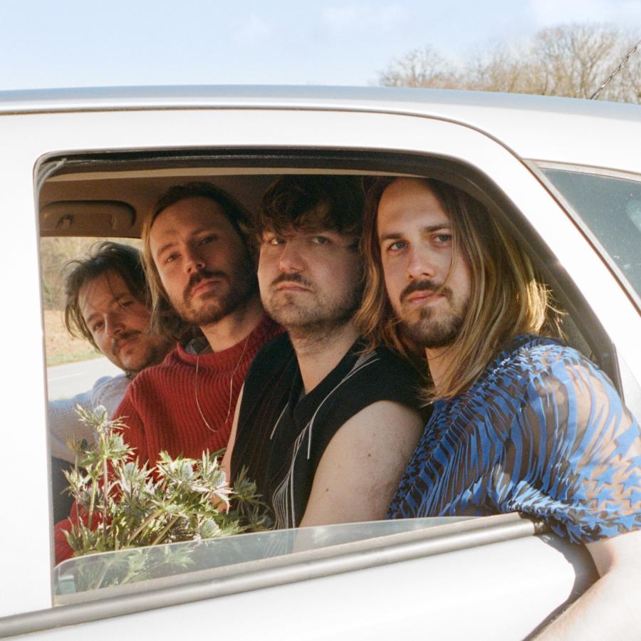 Portrait Panda Lux Portrait Panda Lux