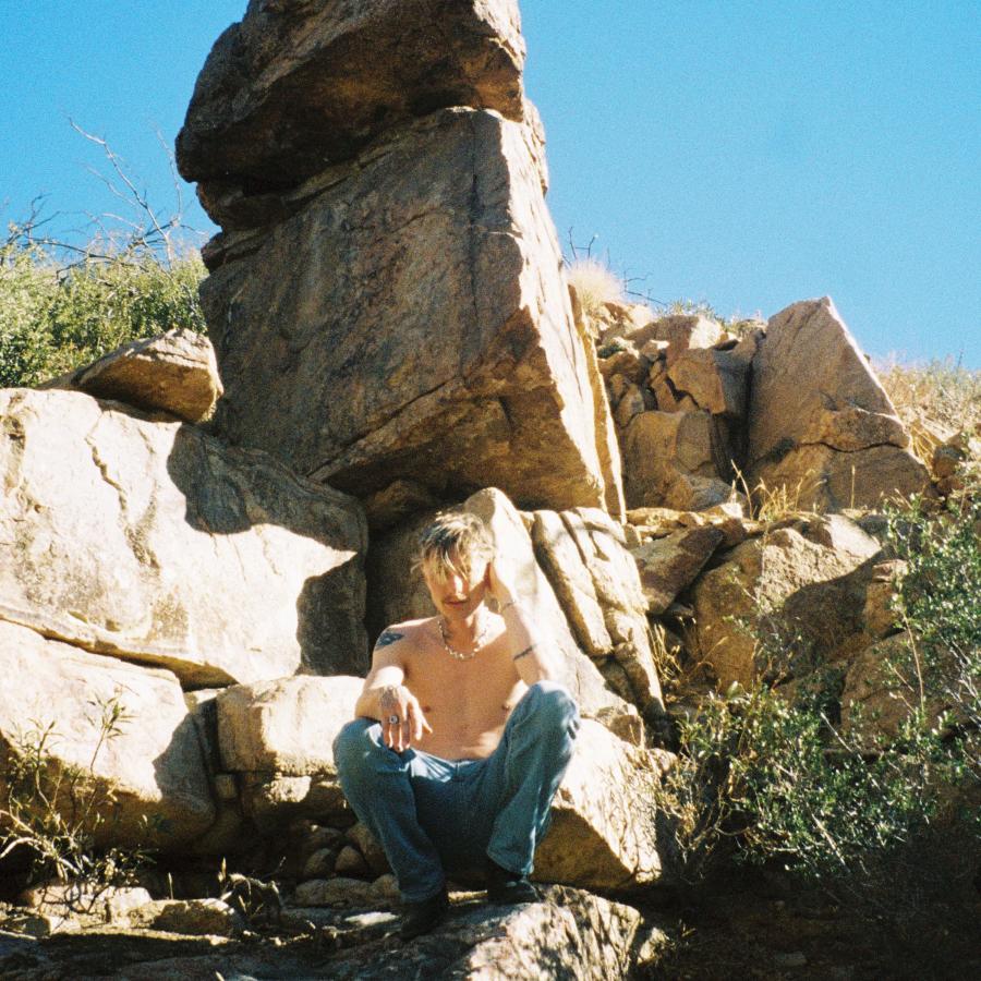 Portrait The Haunted Youth Portrait The Haunted Youth