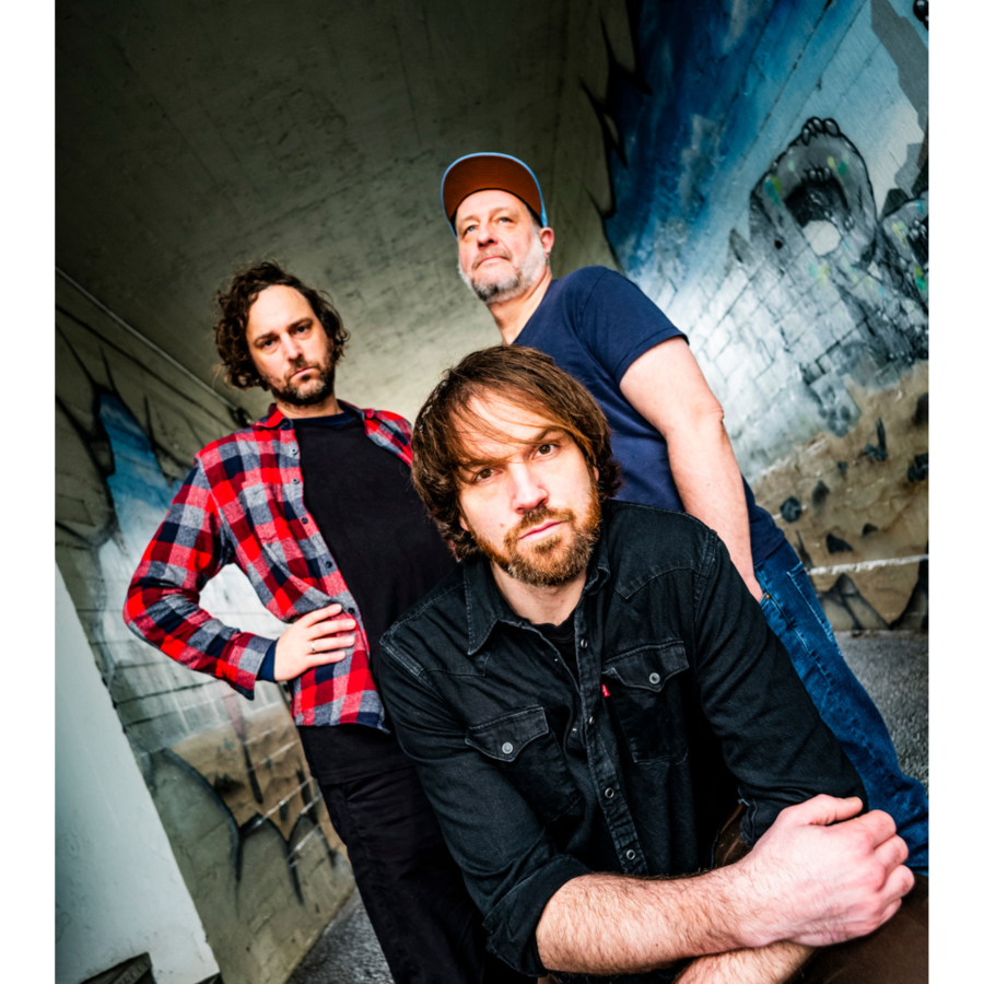 Portrait PALILA Portrait PALILA