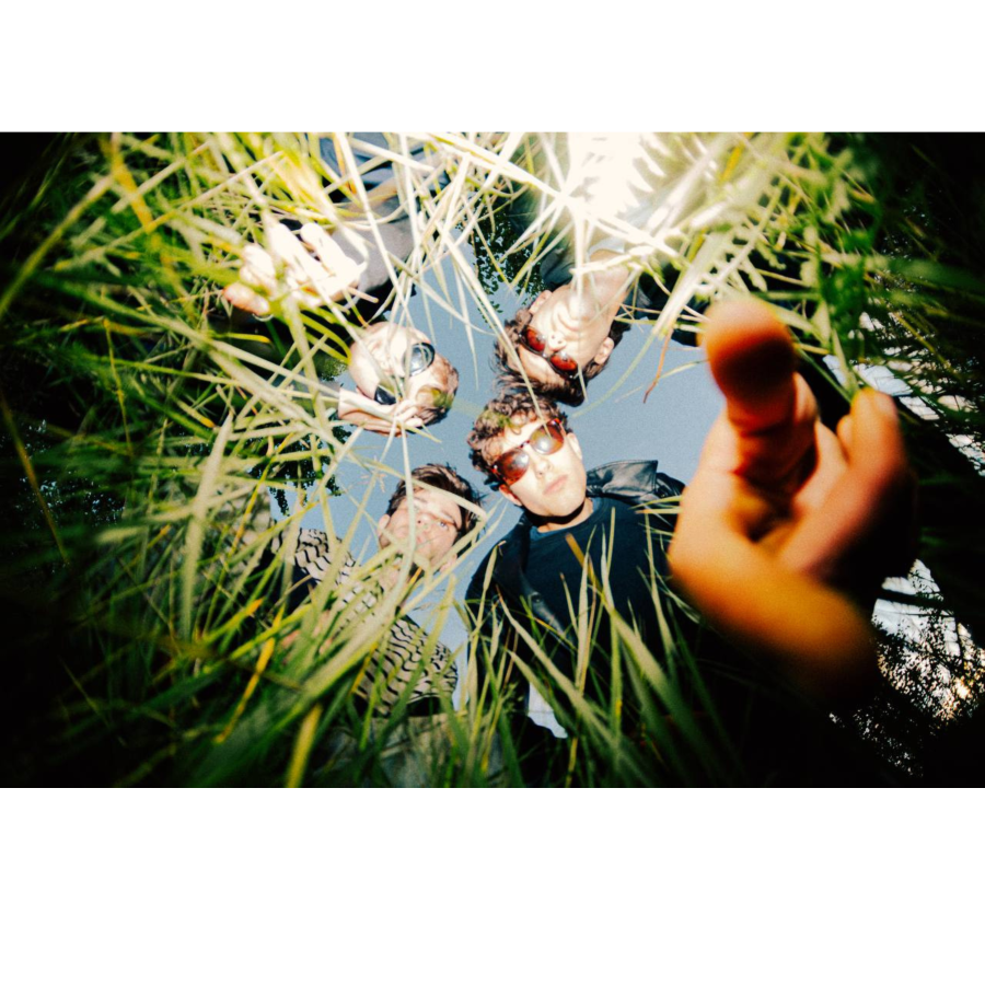 Portrait NIKITA CURTIS Portrait NIKITA CURTIS