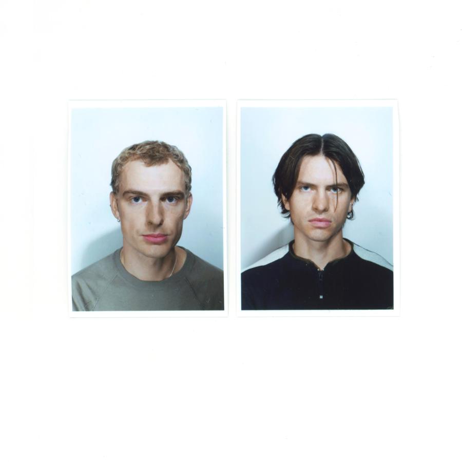 Portrait Horse Vision