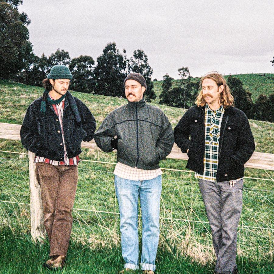 The Grogans Porträt von The Grogans