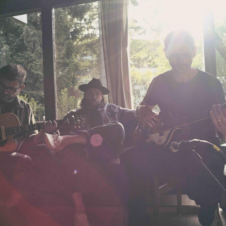 Mighty Oaks © Studio Marc Fischer