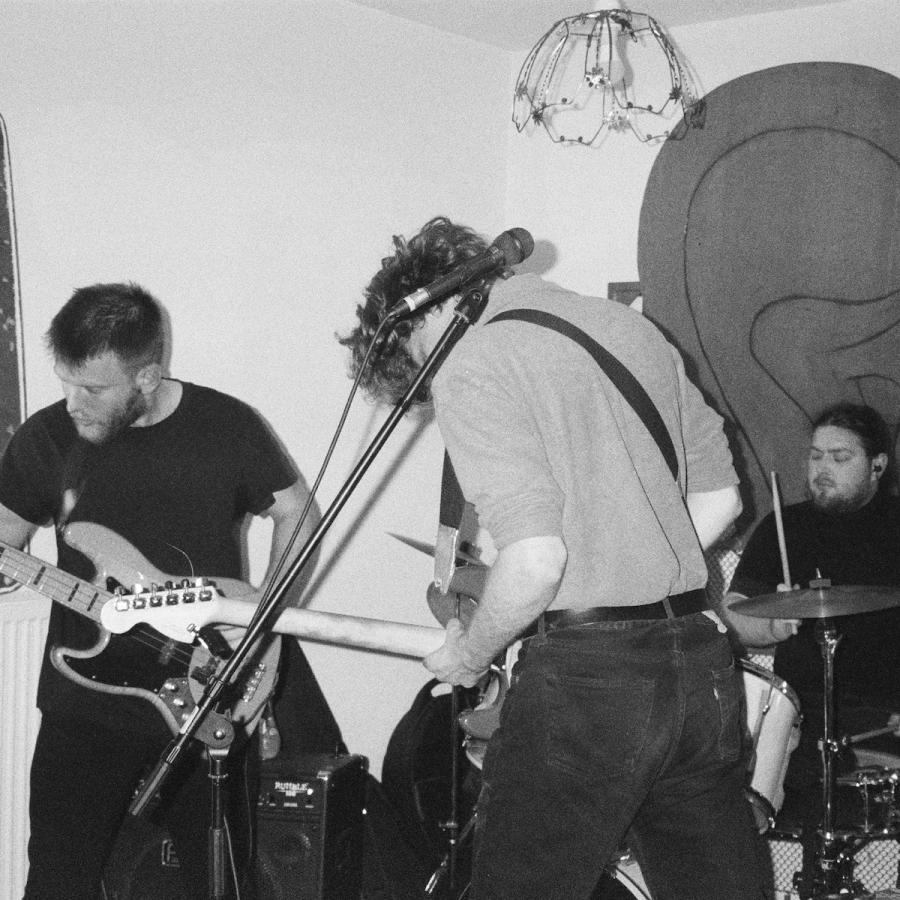 Eat Them © Timm Pauli