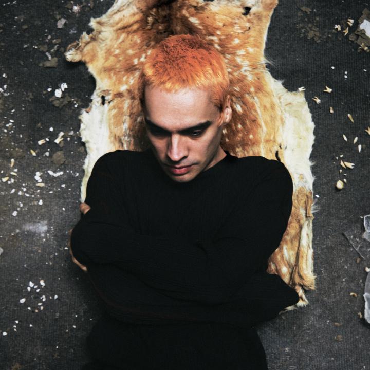 Portrait Sega Bodega